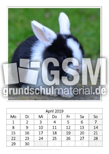 April_Kaninchen_1.pdf